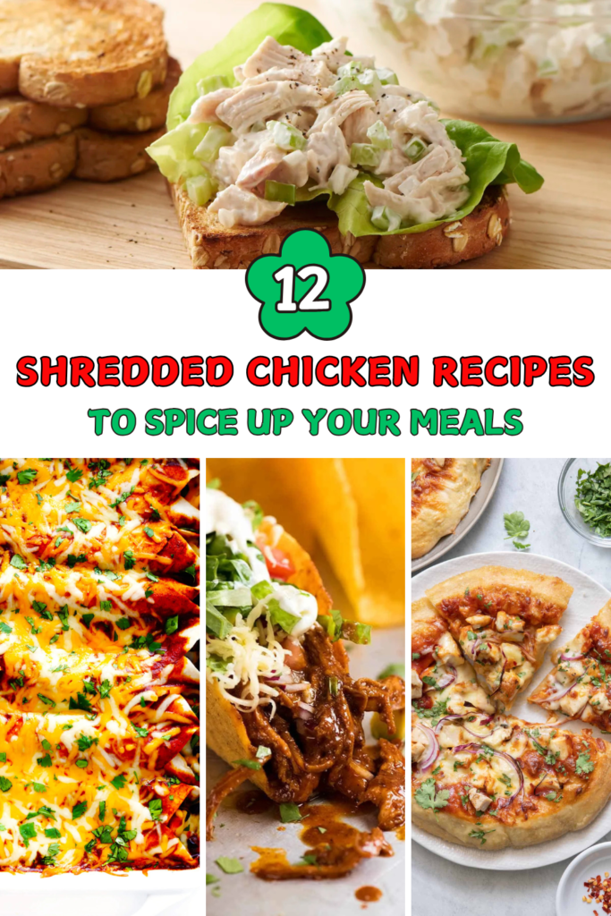 Shredded Chicken Recipes to Spice Up Your Meals